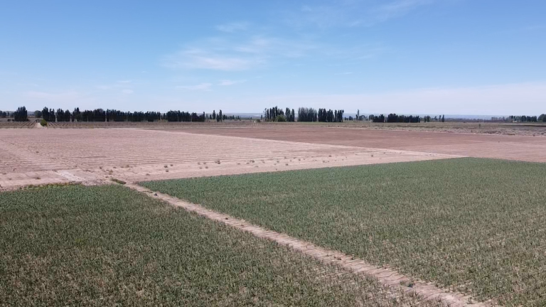 2024 10 12 12 59 57 242