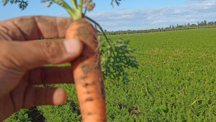 6a4093f8 0010 4d1c 9d92 f5bbb1d8cab6